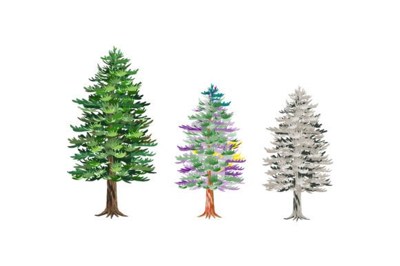 Pine Tree Hand Drawing: Elevating Digital Design with Organic Aesthetics